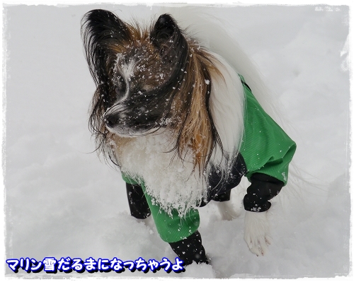 15yukiran.jpg