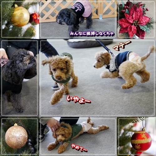 16ame_20121124180825.jpg