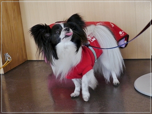 16dai_20120711193338.jpg
