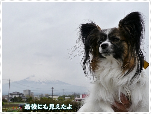 16hakone6.jpg