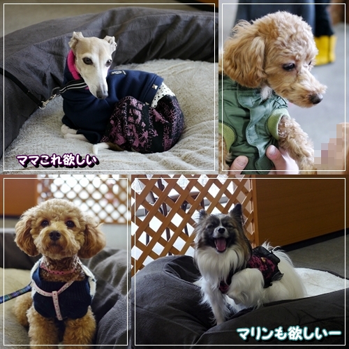 17ame_20121124180825.jpg