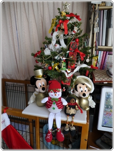 17tree_20121205110925.jpg