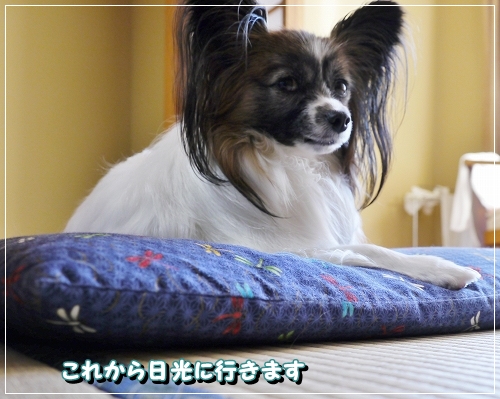 18hinode.jpg