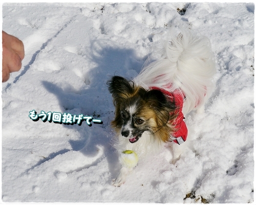 18yukidaruma_20121202204815.jpg