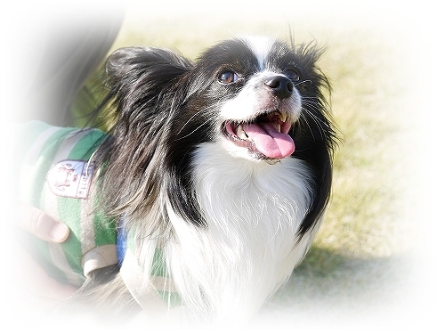 19dai_20120711193352.jpg