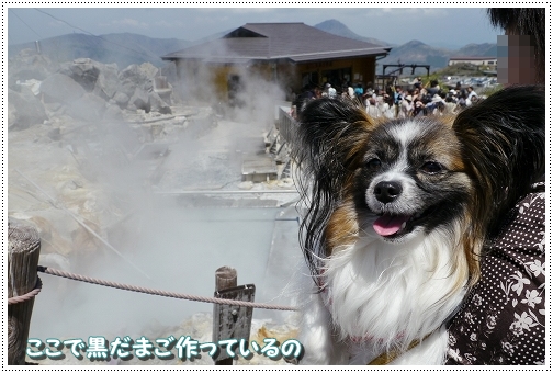 19hakone3.jpg