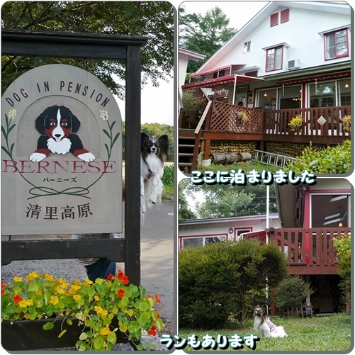 19kiyosato.jpg