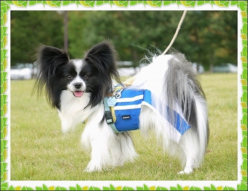 1dai_20120711193156.jpg