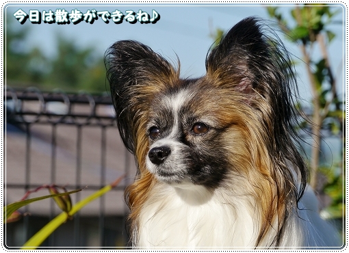 1furis10.jpg