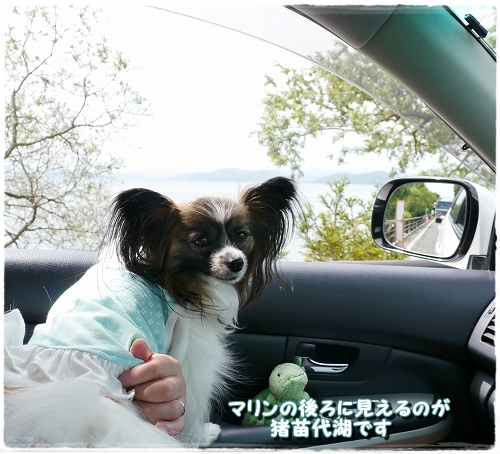 1inawashiro.jpg