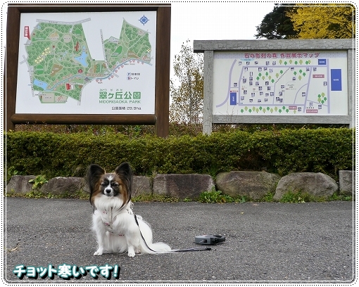 1isinoaki24.jpg
