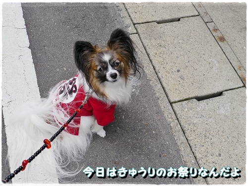 1maturi_20120714205618.jpg