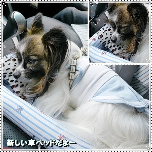 1tamura_20120724004258.jpg
