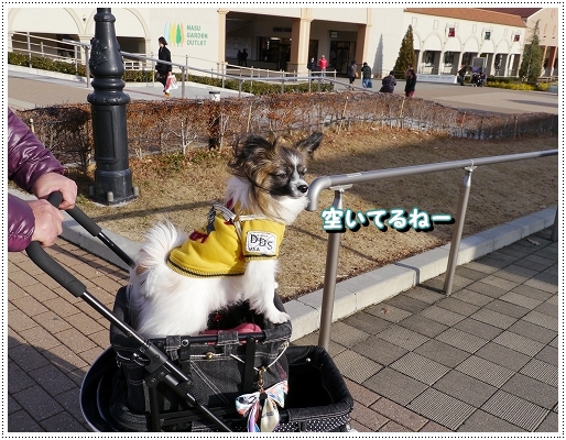 15ランチ