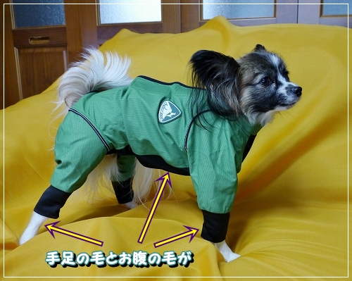 18プレゼント