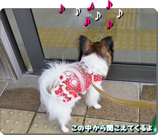 4サンタ