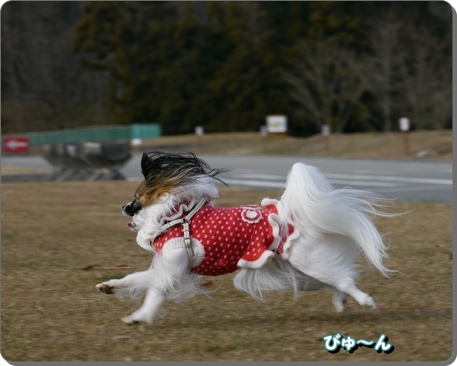 15サンタ
