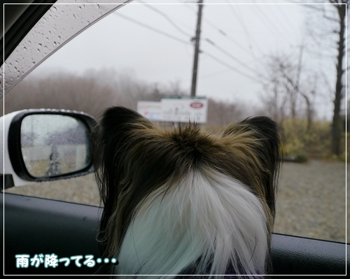 年末1