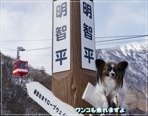 4日光