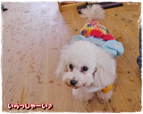 4ハート