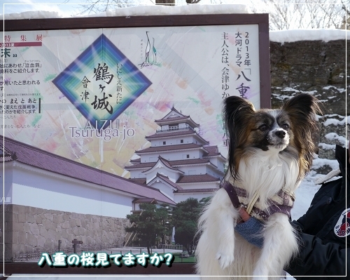 3城