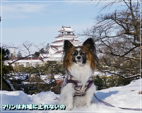 15城