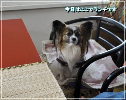 16うまうま