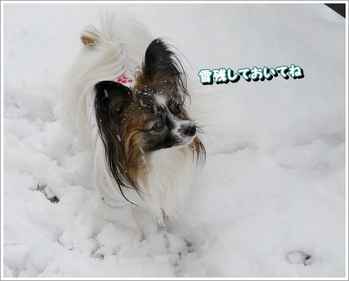 6大雪