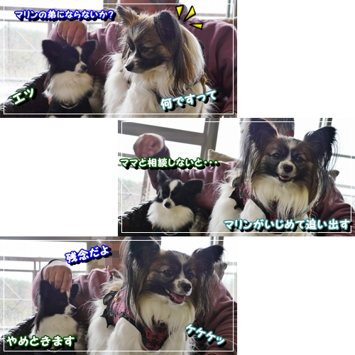 21ame_20121124180921.jpg