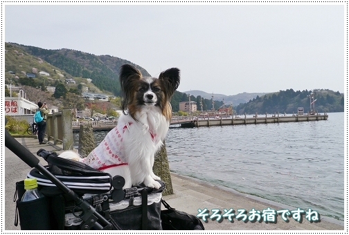 22hakone4.jpg