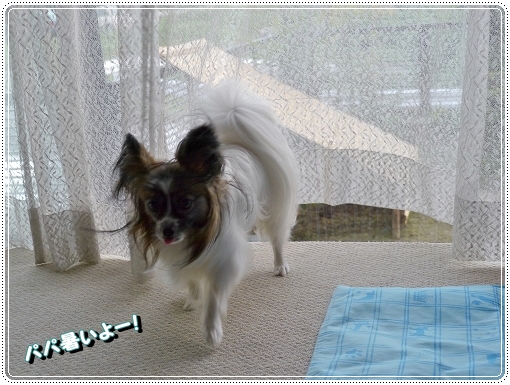 2atui_20120821220116.jpg