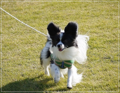 2dai_20120711193156.jpg