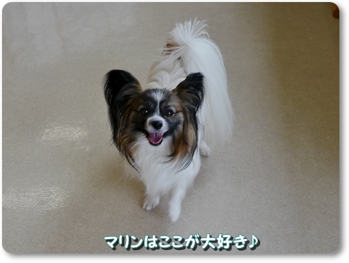 2isi_20120524220048.jpg