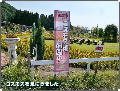 2kosumosu.jpg