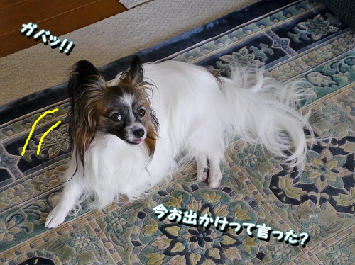 2mizu_20120909111142.jpg