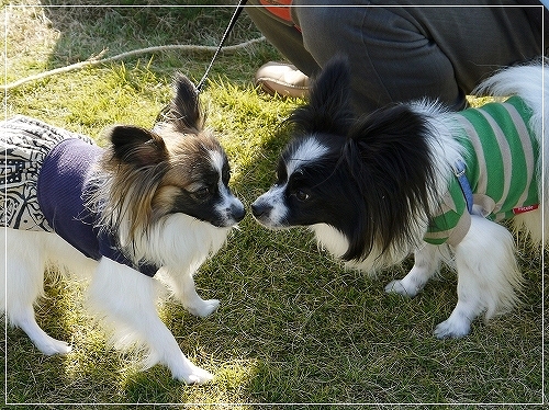 3dai_20120711193157.jpg