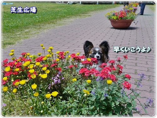 3makiba_20120604205637.jpg