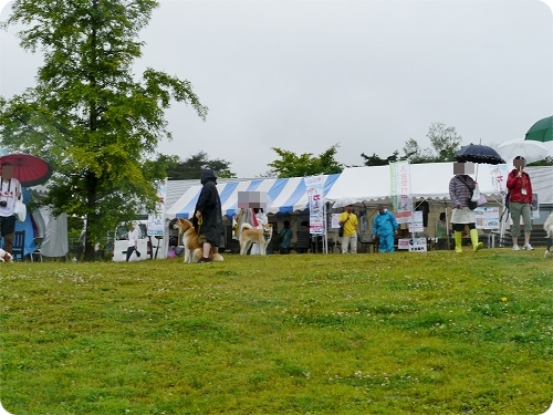 4ame_20120708154414.jpg