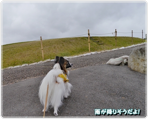 4taimatu2012-1.jpg