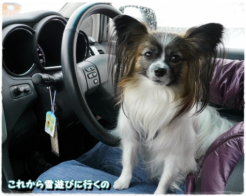 4yuki_20121201210830.jpg