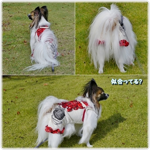 5akifukukou2012-1.jpg