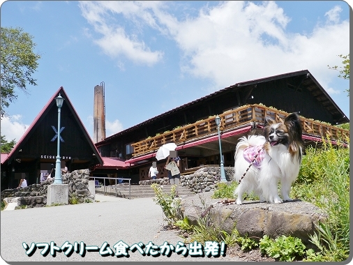 5kiyosato.jpg