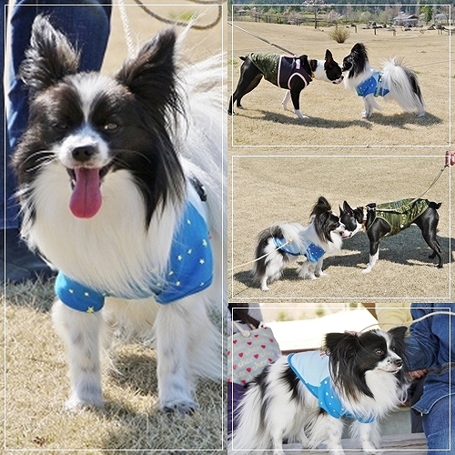 6dai_20120711193157.jpg