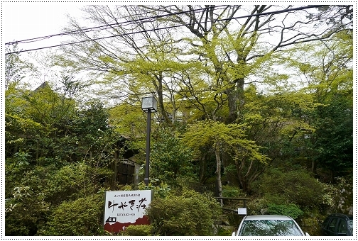 6hakone5.jpg