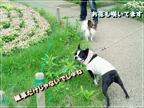 6tenten_20120721235531.jpg