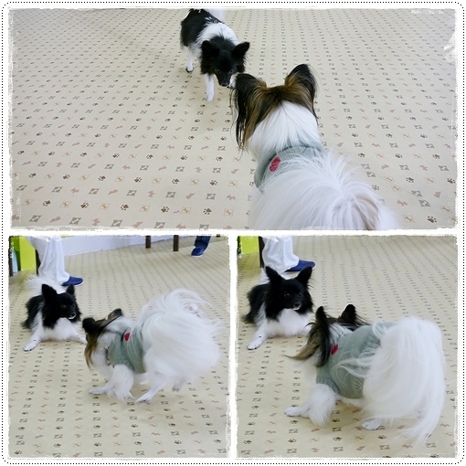 7buddy12.jpg
