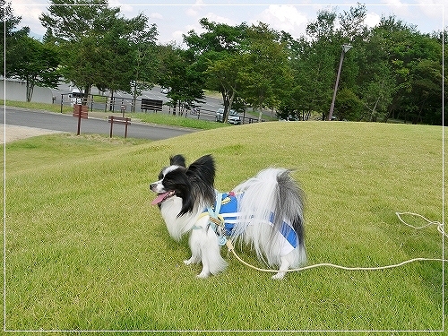 7dai_20120711193247.jpg