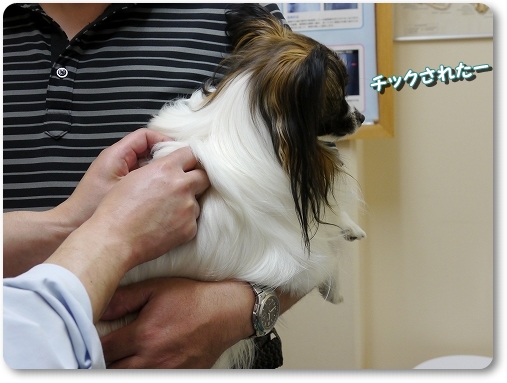 7isi_20120524220135.jpg