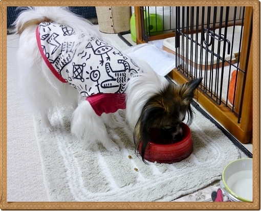 7kani_20121209230635.jpg