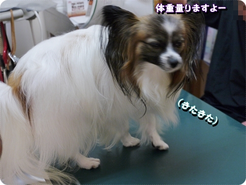 8isi_20120910202139.jpg